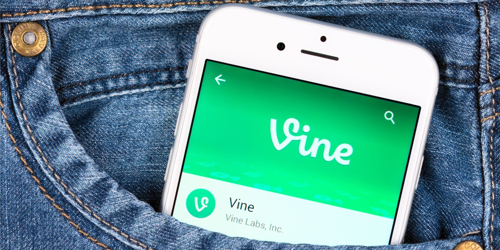 Как смотреть старые Vine — полное руководство