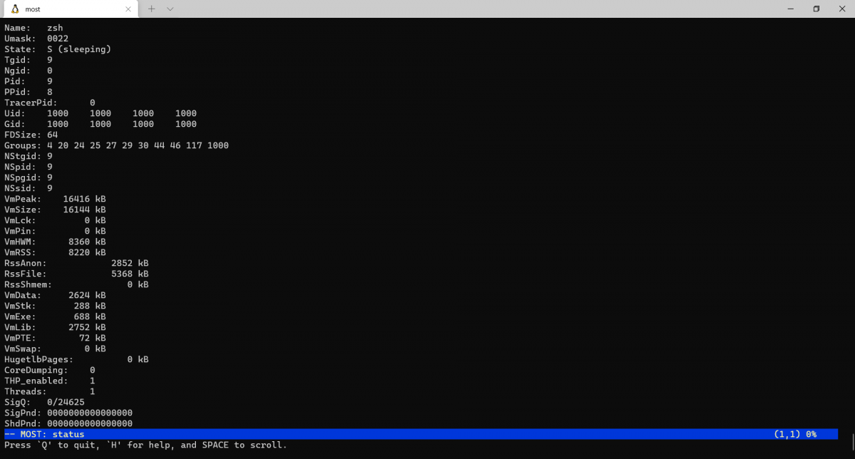Файл состояния процесса в /proc