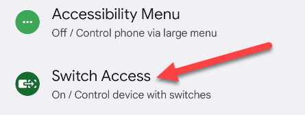 Пункт Switch Access в списке специальных возможностей