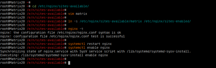 Настройка Nginx как обратного прокси для Matrix Synapse