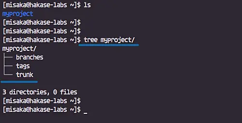 Структура проекта в SVN