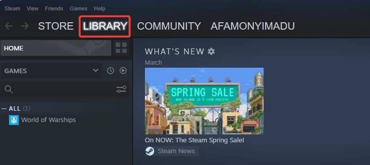 Вкладка «Библиотека» в Steam