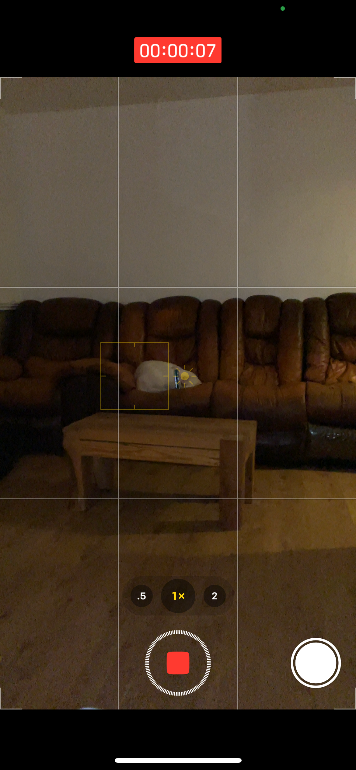 screenshot showing slow-mo video recording while using flash on iPhone iOS 15 with white dog sleeping on brown sofa.