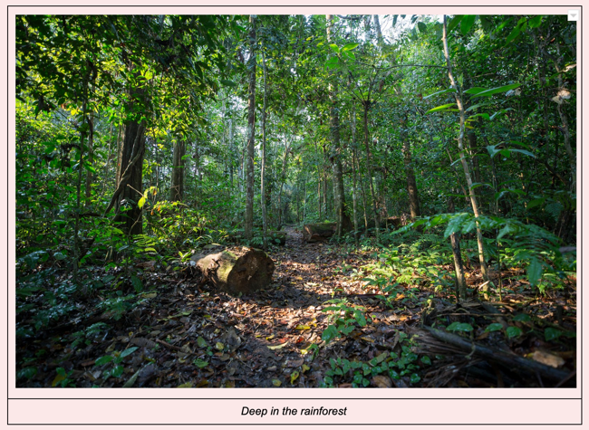 Ввод подписи в нижней ячейке таблицы