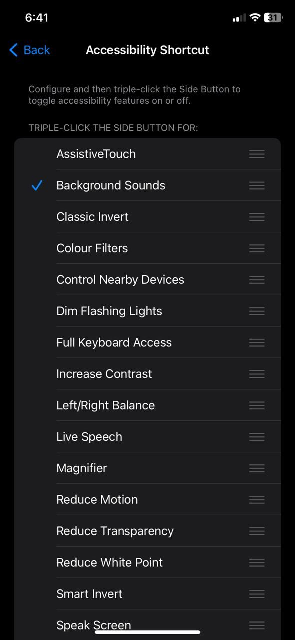Параметры ярлыка Универсального доступа iOS 17