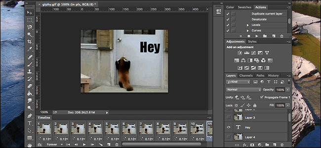 Как добавить текст на GIF в Photoshop