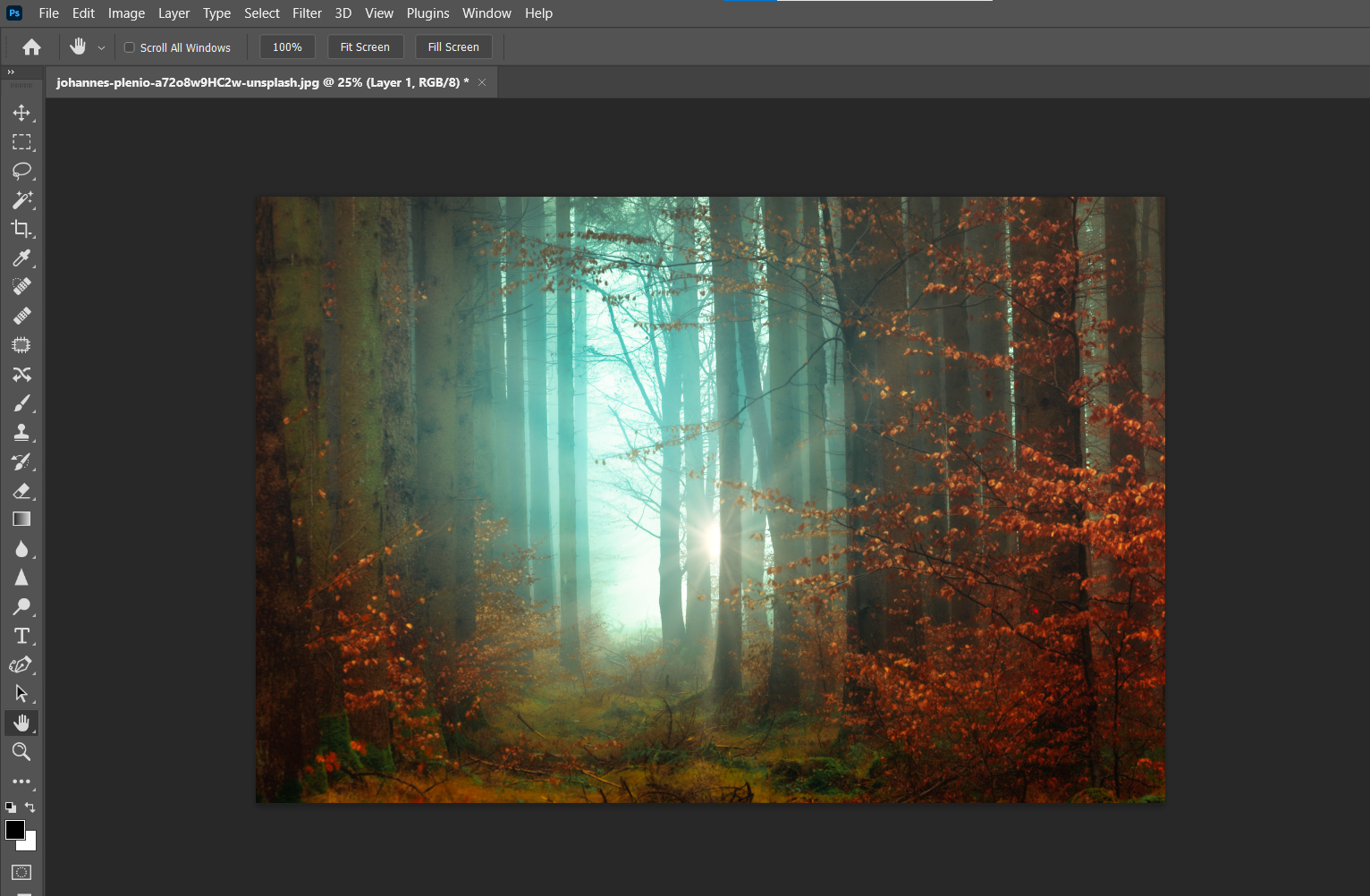 лес после обработки с лучами солнца