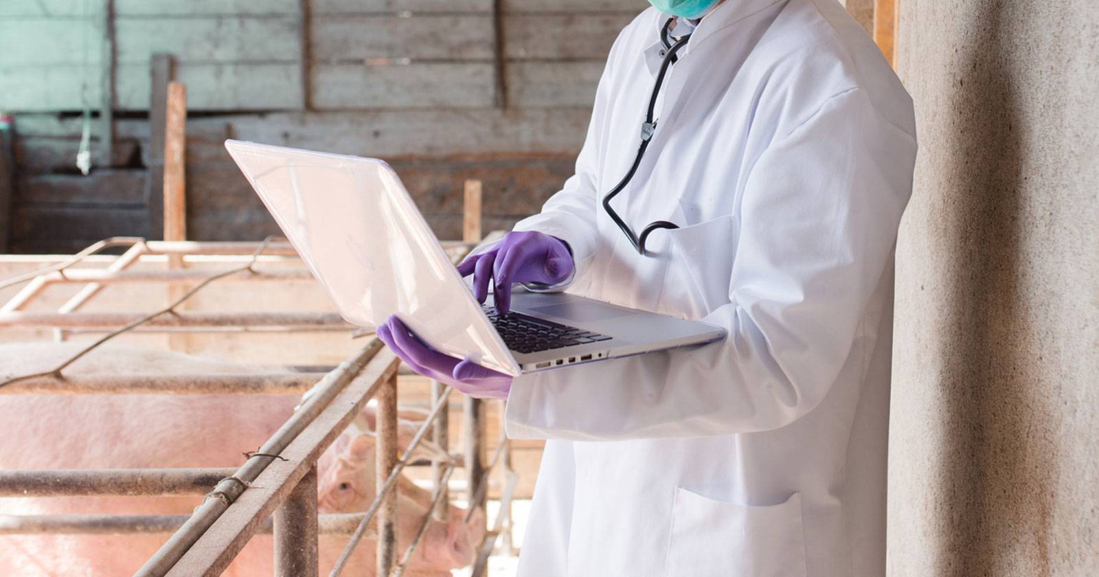 безопасная очистка инфицированного компьютера