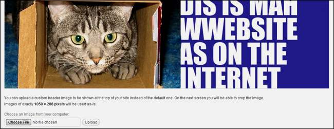 WordPress: темы и меню — настройка сайта