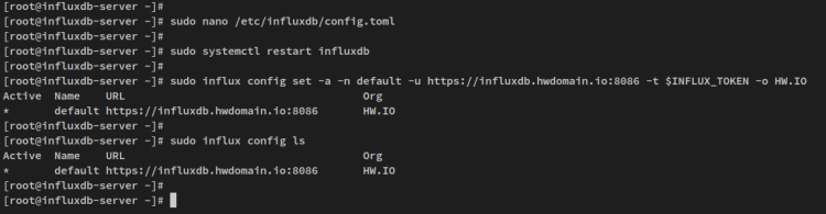 Профиль influx с TLS