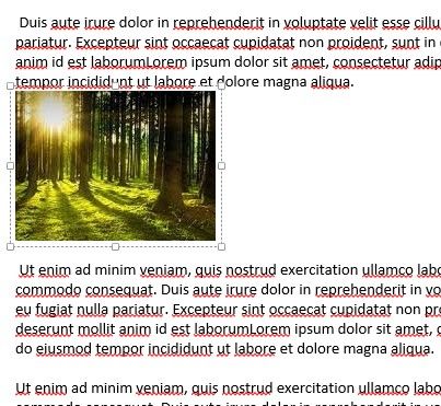 Обрезанное изображение вставлено в заметку