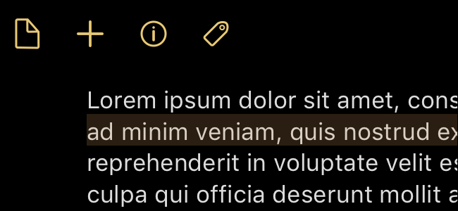 Навигация и выделение текста на iPhone и iPad