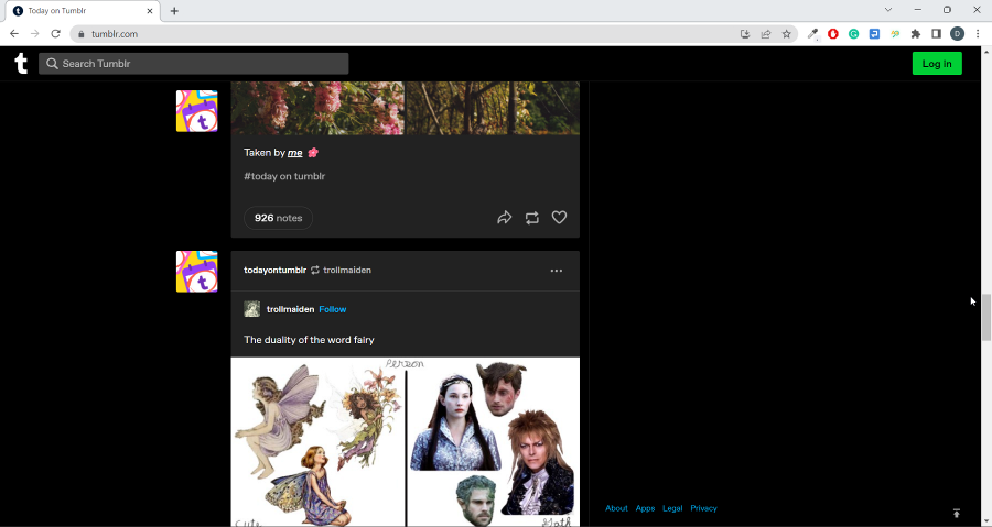 Проверка работы Tumblr после очистки кеша