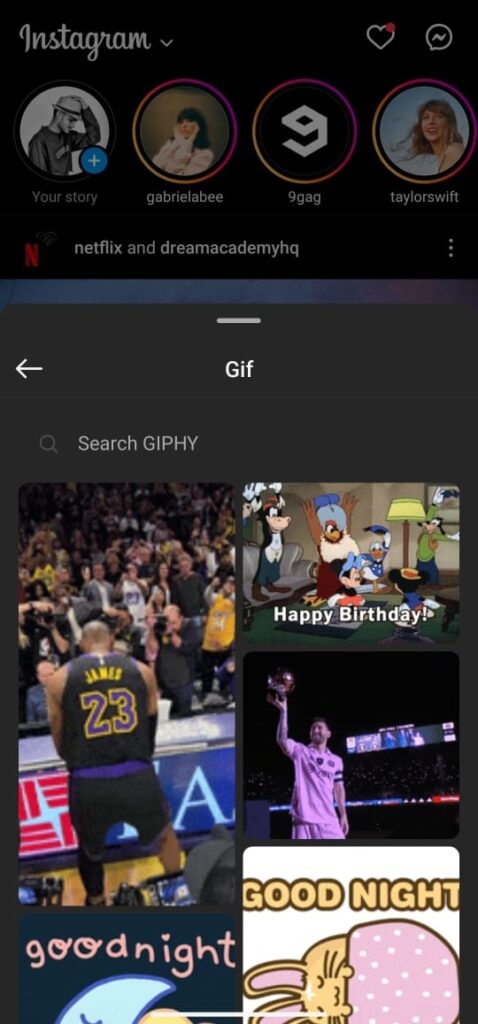 Предпросмотр выбранного GIF перед отправкой