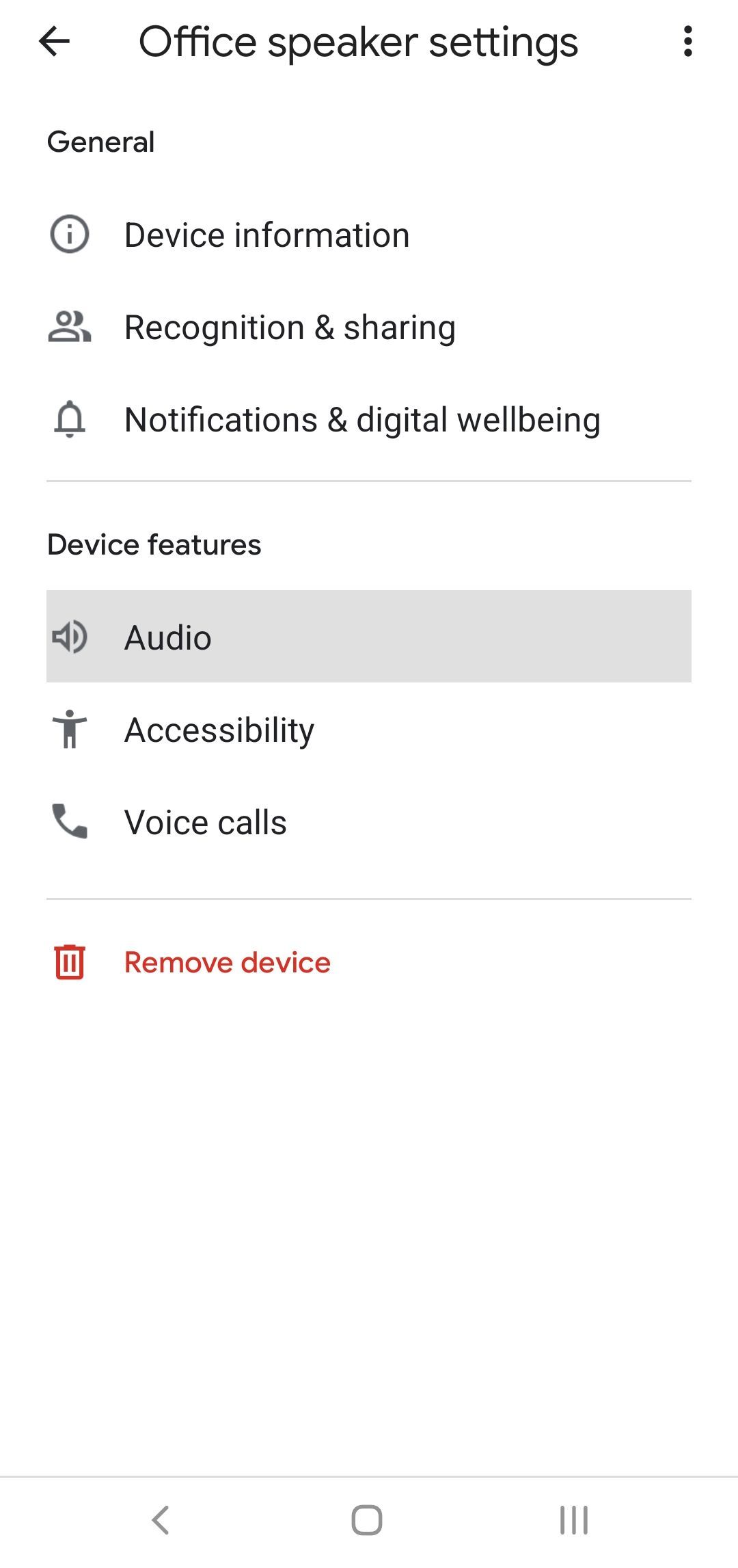 Google Home Audio settings
