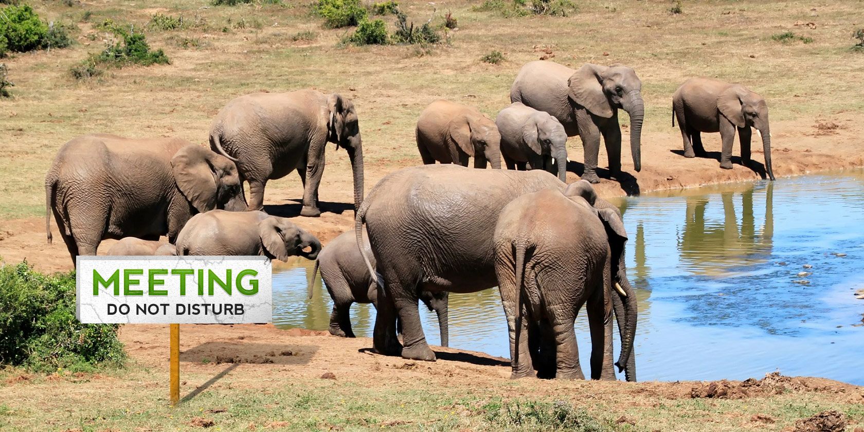 Evernote для встреч — шаблоны и советы