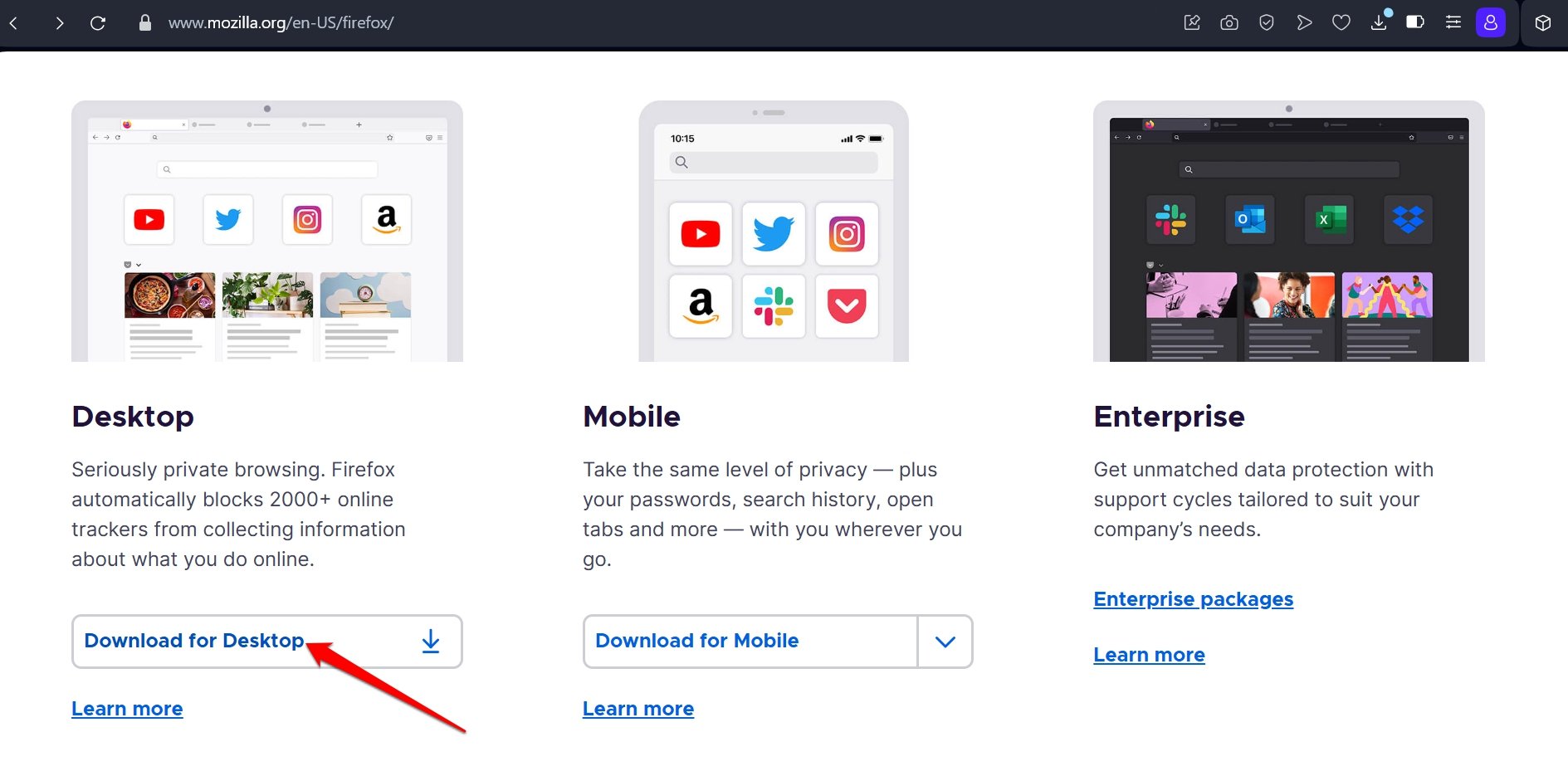 Pagina di download del programma di installazione di Firefox per PC