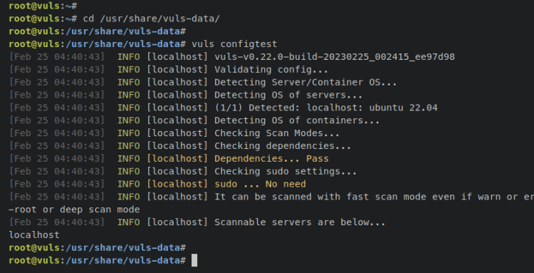 Результат проверки конфигурации vuls configtest