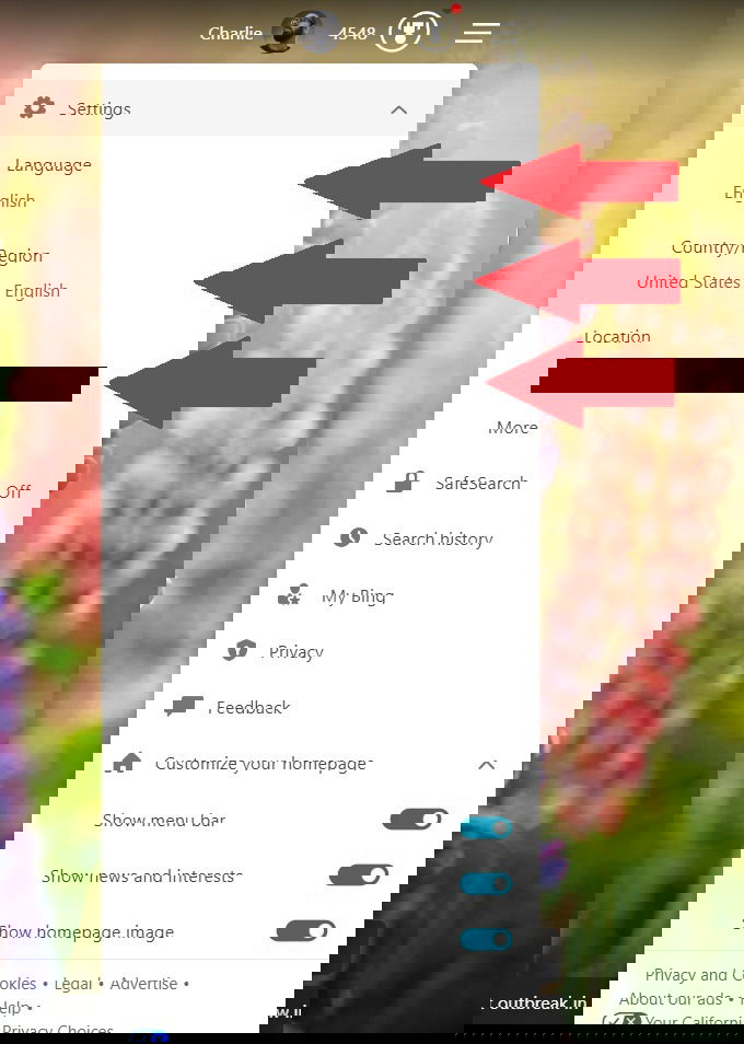 Параметры настроек в Bing