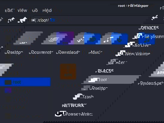 Файл Payload в корне Kali