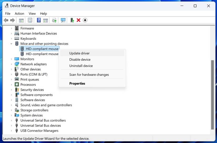 Опция обновления драйвера мыши в Диспетчере устройств