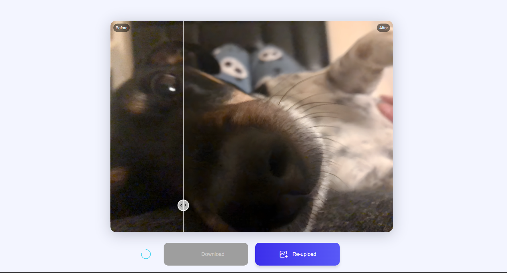 Удаление размытия у собаки с помощью Artguru