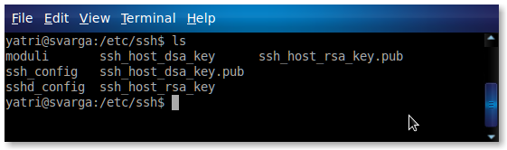 /etc/ssh: конфигурация сервера SSH и клиента