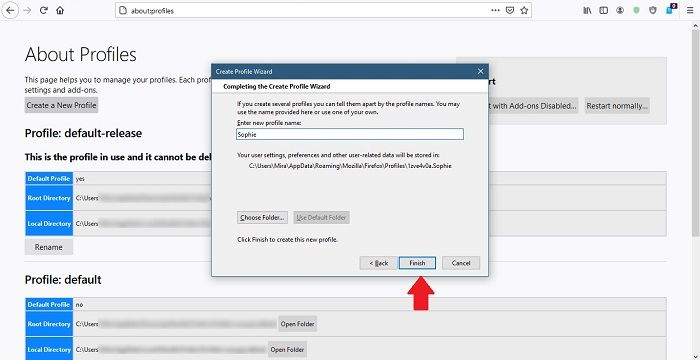 Поле ввода имени и выбор папки профиля