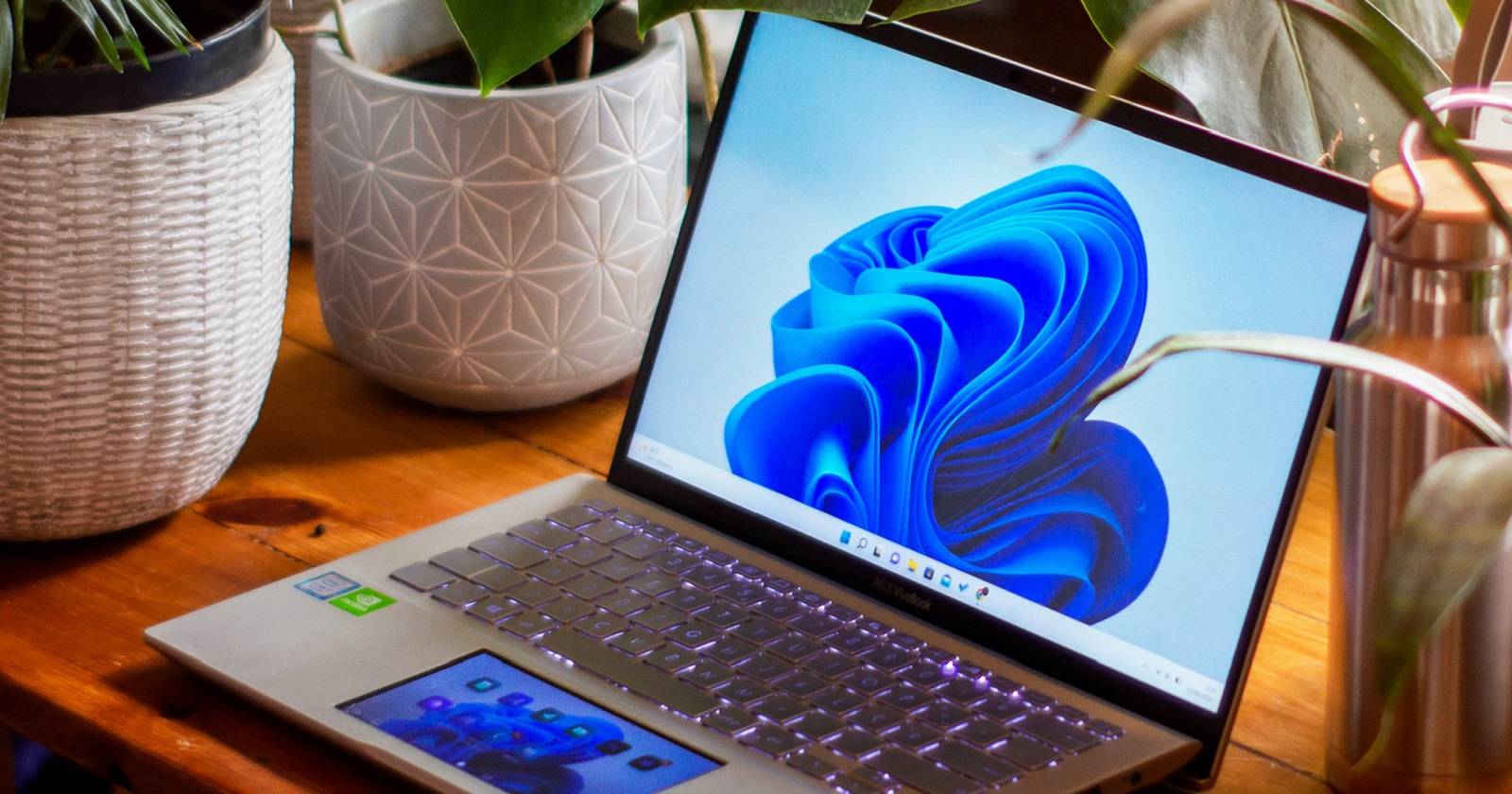 Ноутбук с Windows 11 на экране