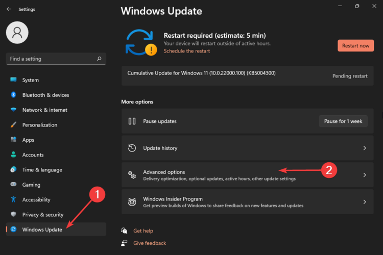 Дополнительные параметры Windows Update