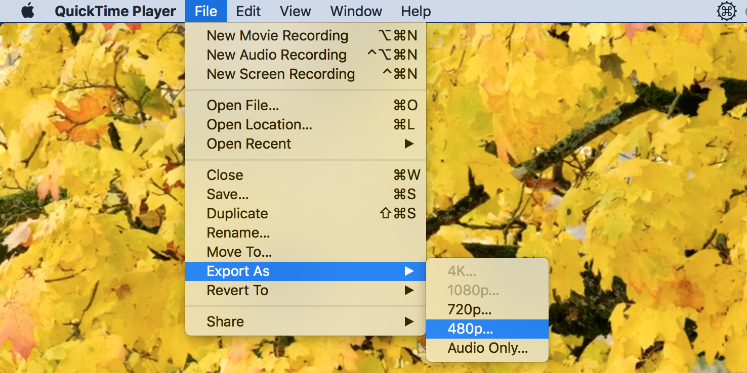Уменьшение размера видео с QuickTime Player