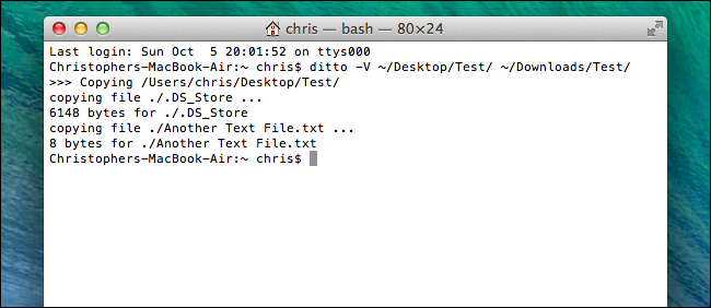 Вывод ditto при слиянии папок в Терминале