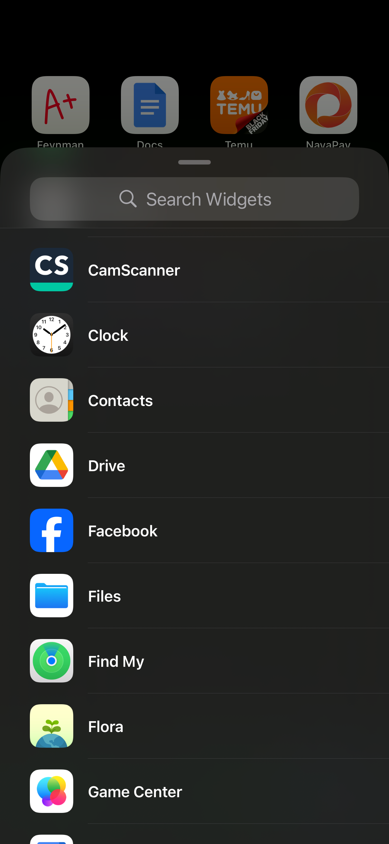 Diffferent Home Screen widgets being displayed