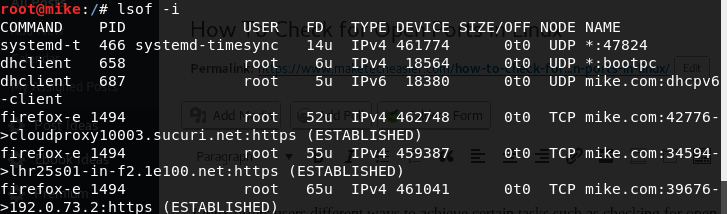 Пример вывода lsof -i