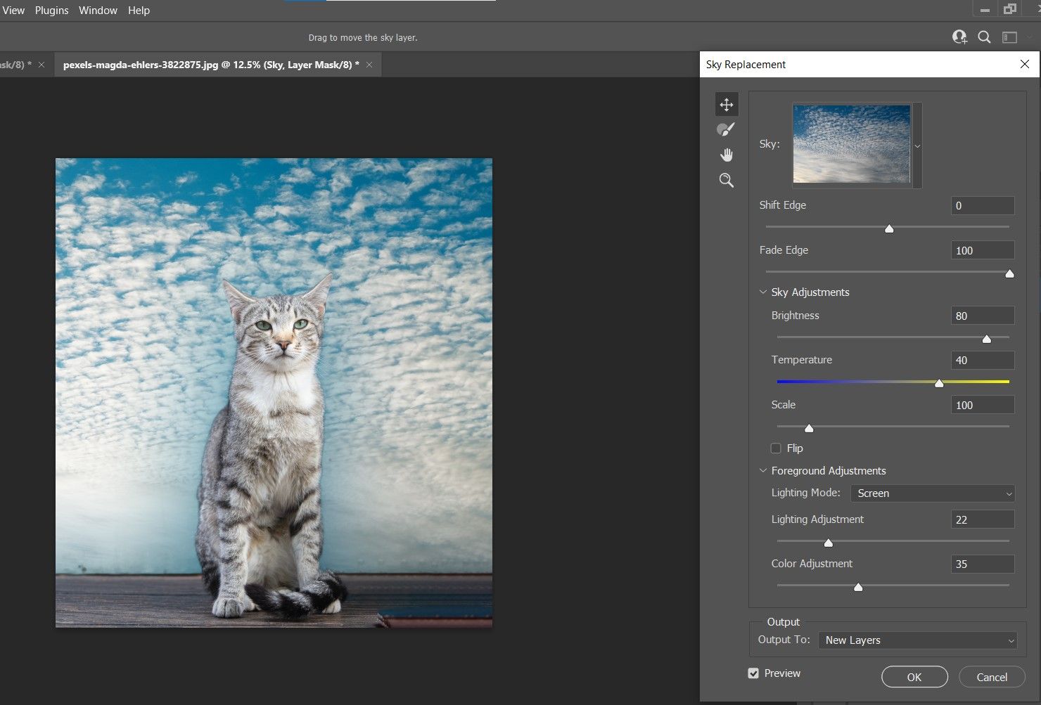 Опция вывода замены неба в новые слои