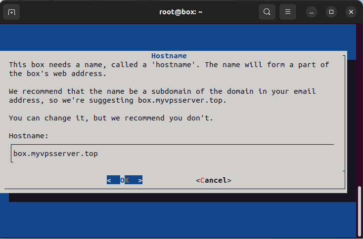 Скриншот терминала с полным именем хоста.
