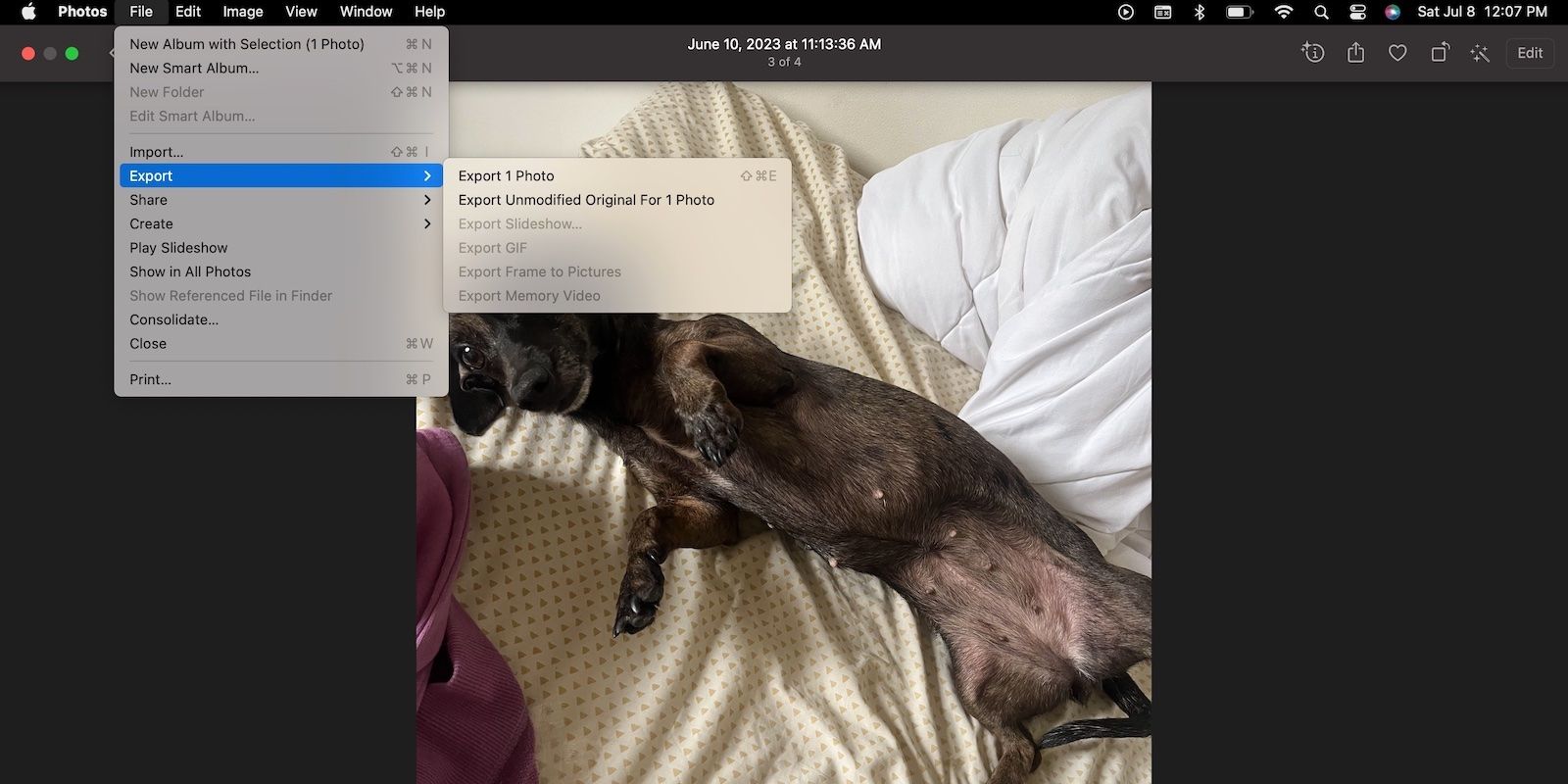 Экспорт Live Photo в видео на Mac