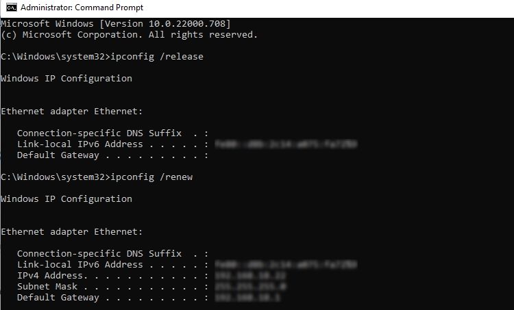 IP Address Renew Command