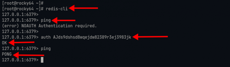 Скриншот проверки подключения и аутентификации Redis