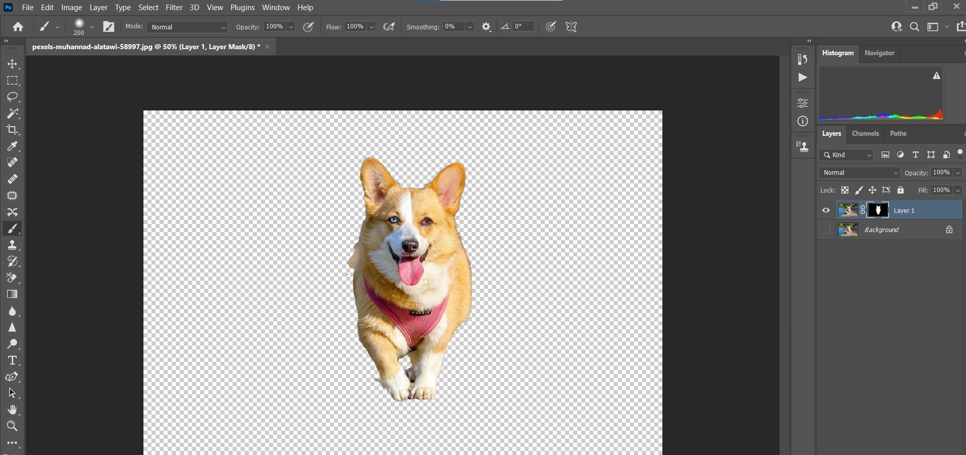 Скрыть фоновый слой