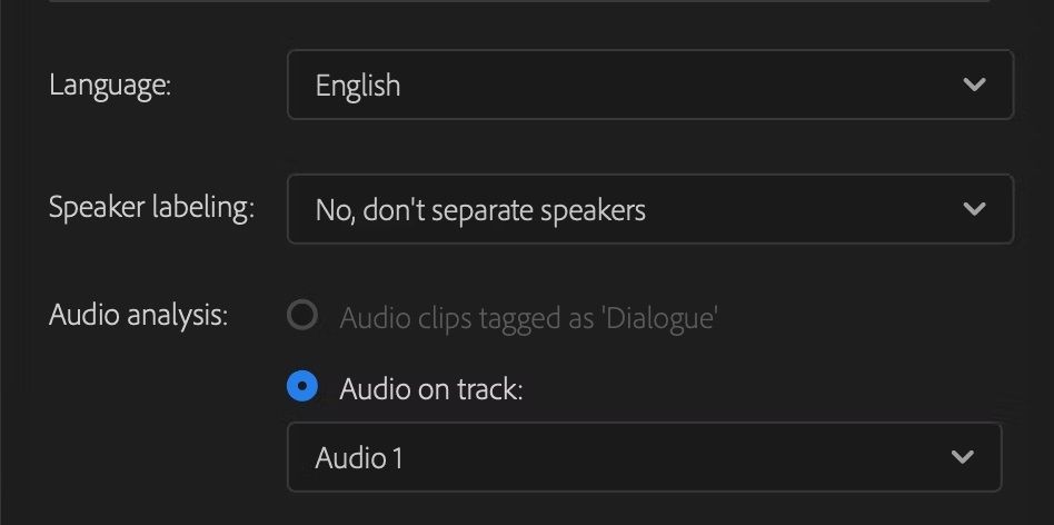 Настройки расшифровки в Premiere Pro
