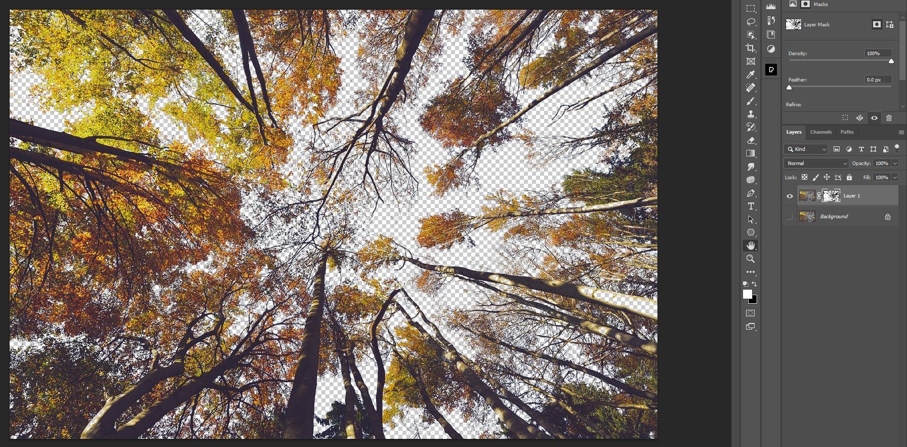 Фоновый слой отключён, видно выделенное небо