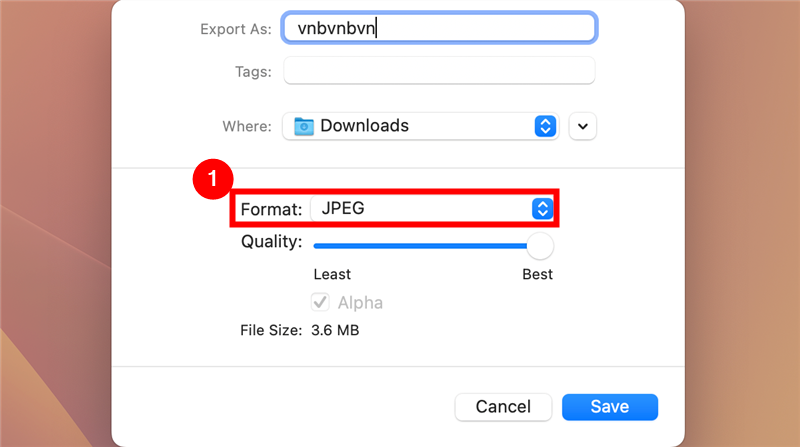 Выбор формата «JPEG» и регулирующий ползунок качества в Preview.