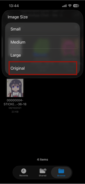 Выбор размера при конвертации изображений