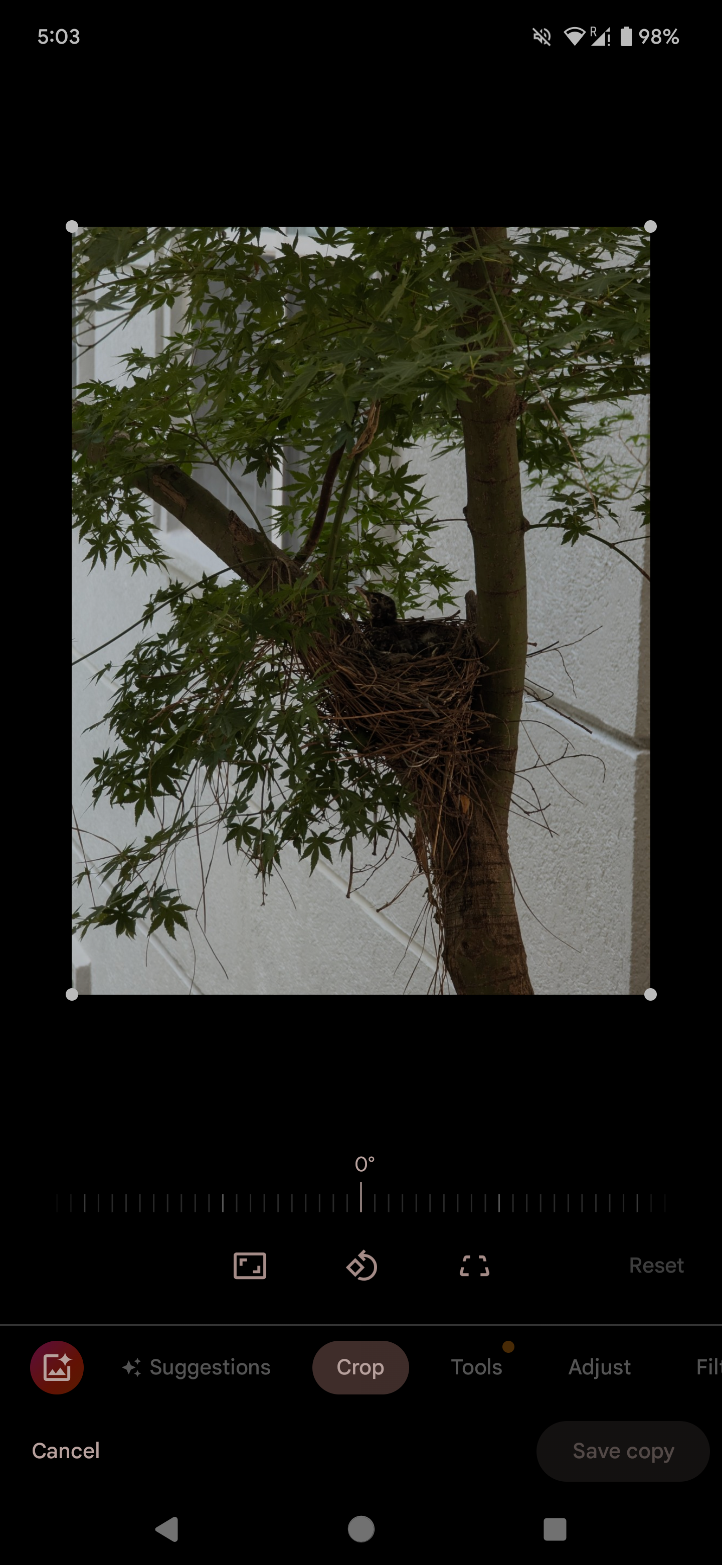 Выберите Обрезать для вращения изображения.