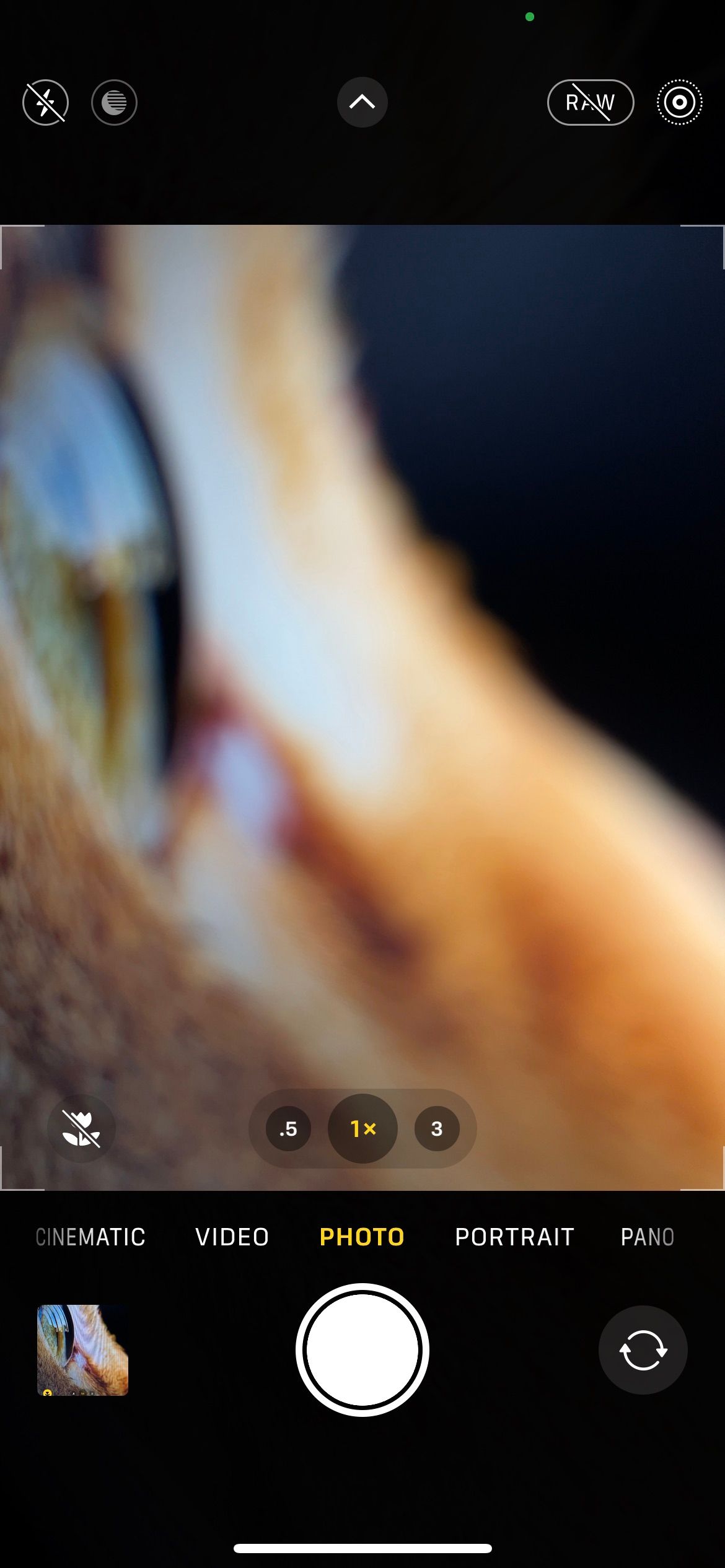 iPhone 13 Pro macro camera disabled showing viewfinder controls