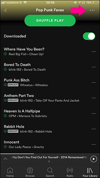 Поделиться плейлистом в мобильном приложении Spotify: меню 'Поделиться'