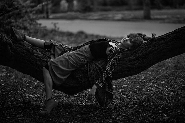 Дерево с сохранённой текстурой в тенях