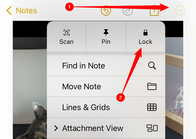 Нажмите значок с тремя точками, затем выберите «Lock».