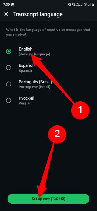 Загрузка языкового пакета